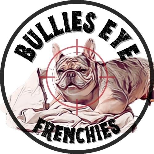 Bullies Eye Frenchie